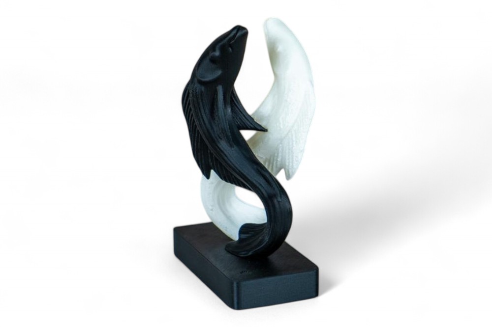 Yin Yang Koi