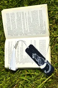 Ay Kedisi - Küçük görsel 2