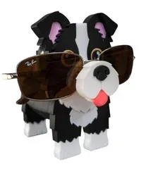 Border Collie Gözlük Tutacağı - Küçük görsel 1