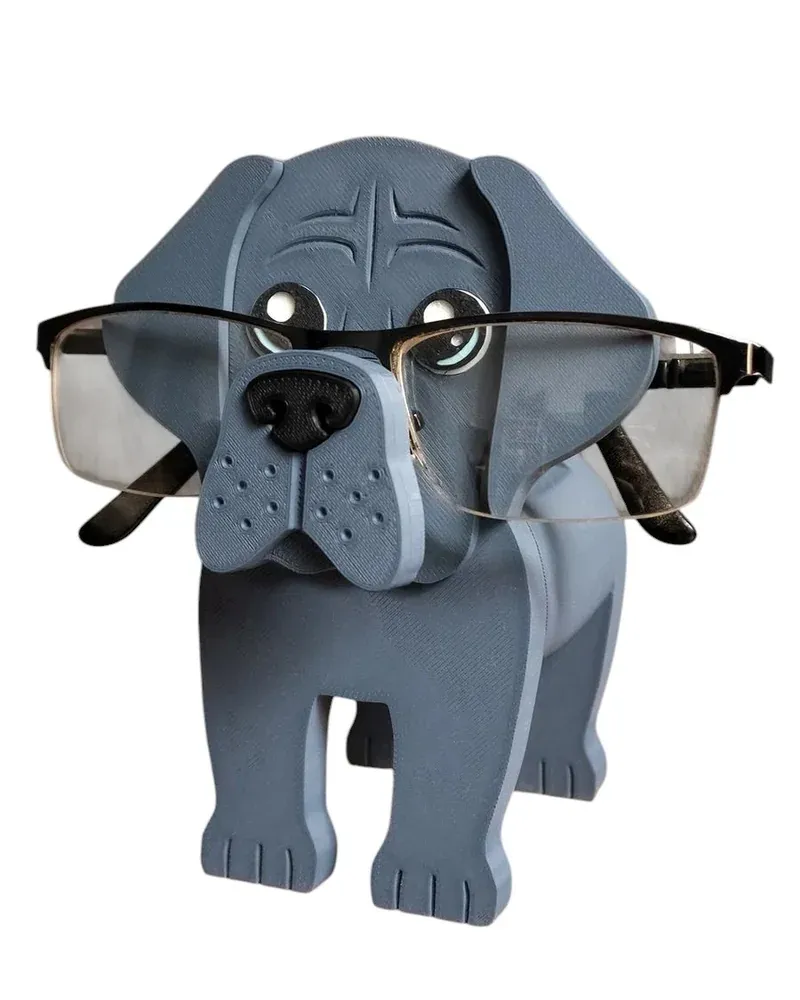 Dane Gözlük Tutacağı