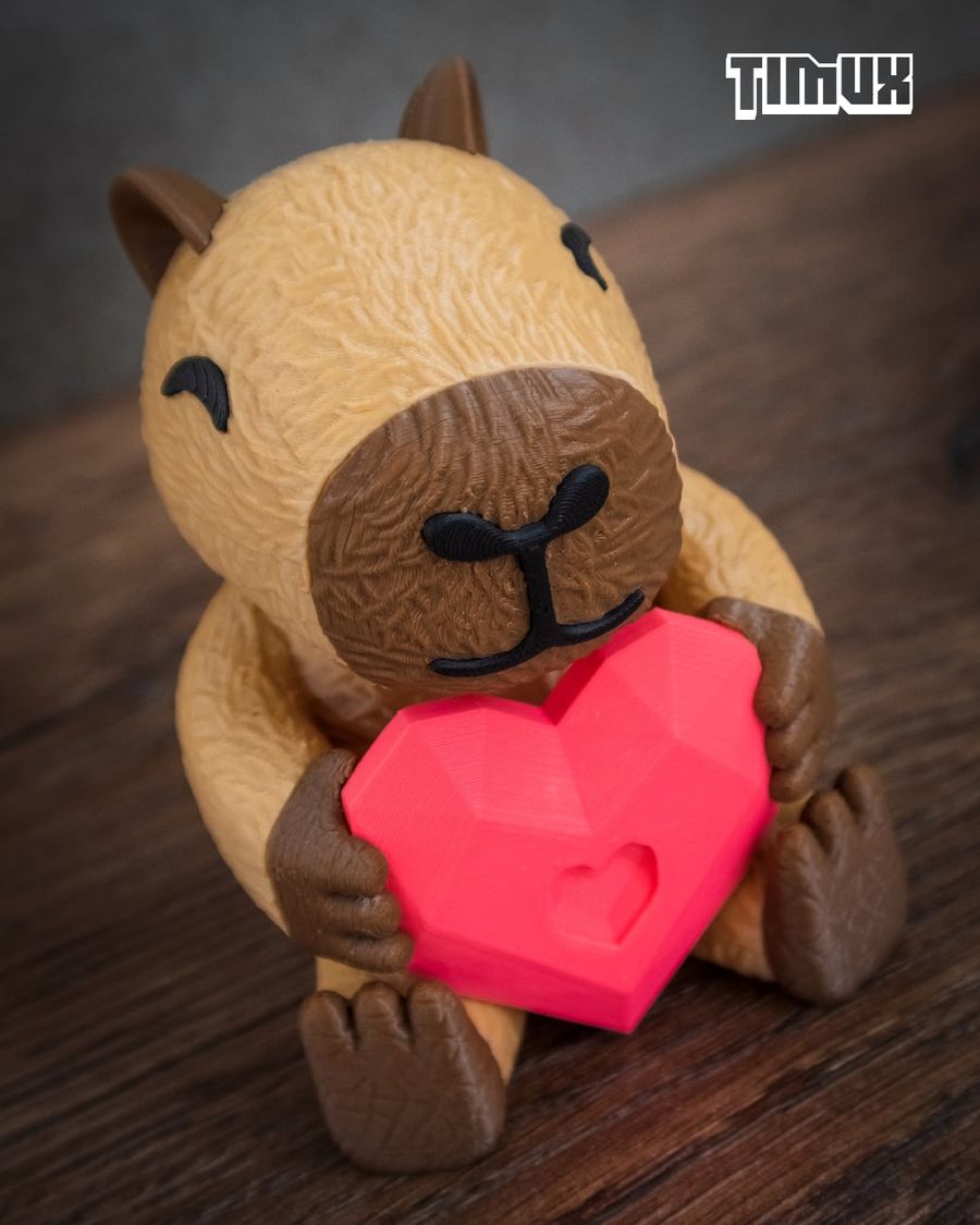 Capybara Kalp - 1