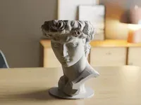 David Michelangelo - Küçük görsel 2