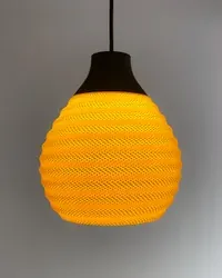 Cora - Küçük görsel 4