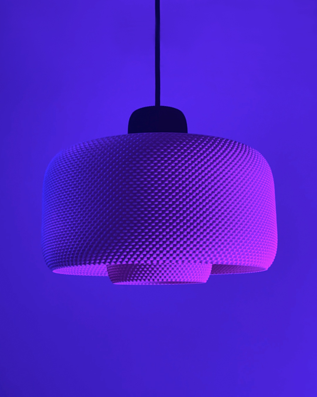 Lola - 6