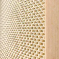 Riku - Küçük görsel 7