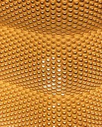 Sara - Küçük görsel 6