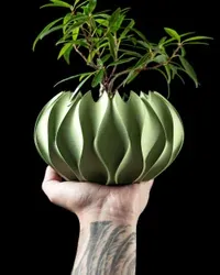 Abypot - Küçük görsel 2