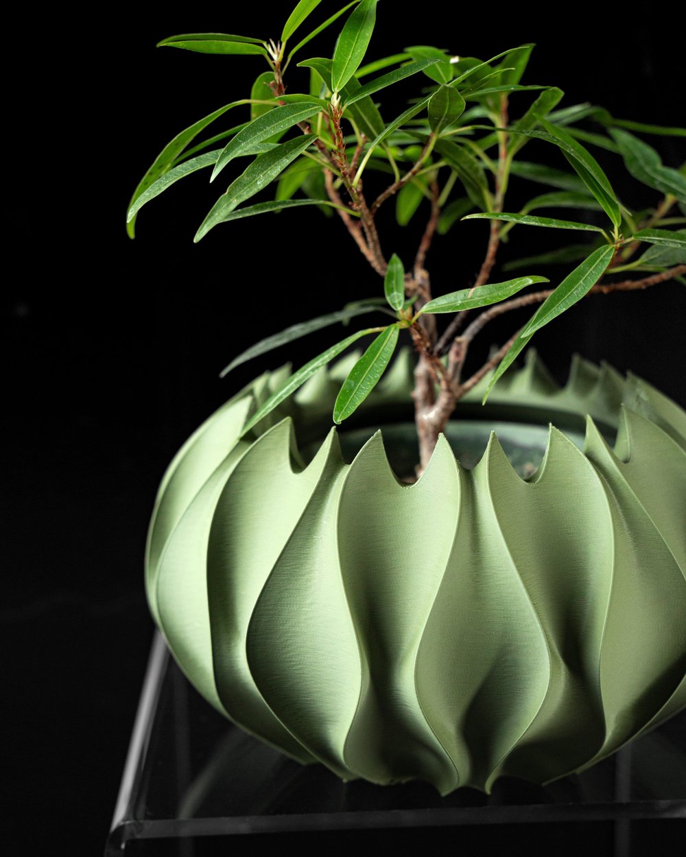 Abypot - 3