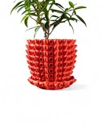 Barnacle Pot - Küçük görsel 1