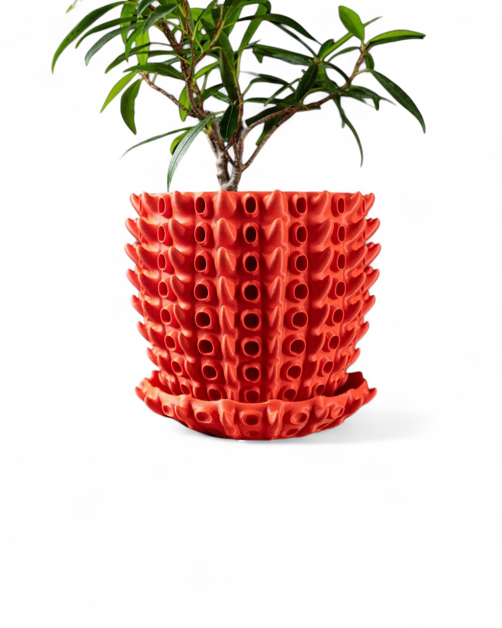 Barnacle Pot