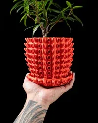 Barnacle Pot - Küçük görsel 2