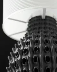 Barnacle  - Küçük görsel 2