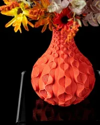 Bloom - Küçük görsel 2