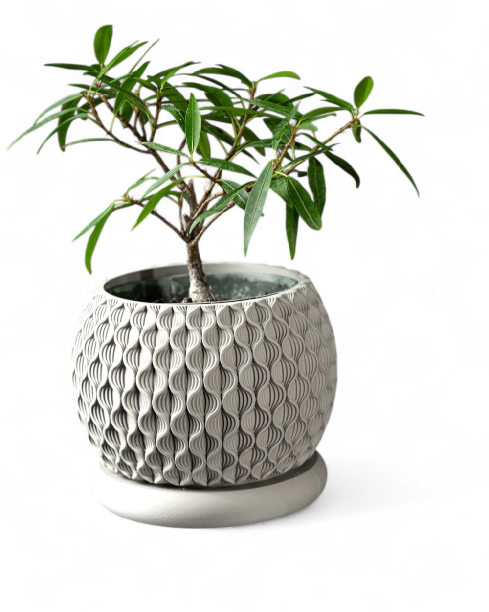 Bloom Pot