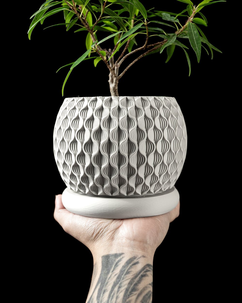 Bloom Pot - 1