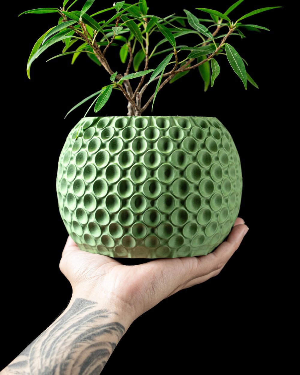 Bubble Pot - 1