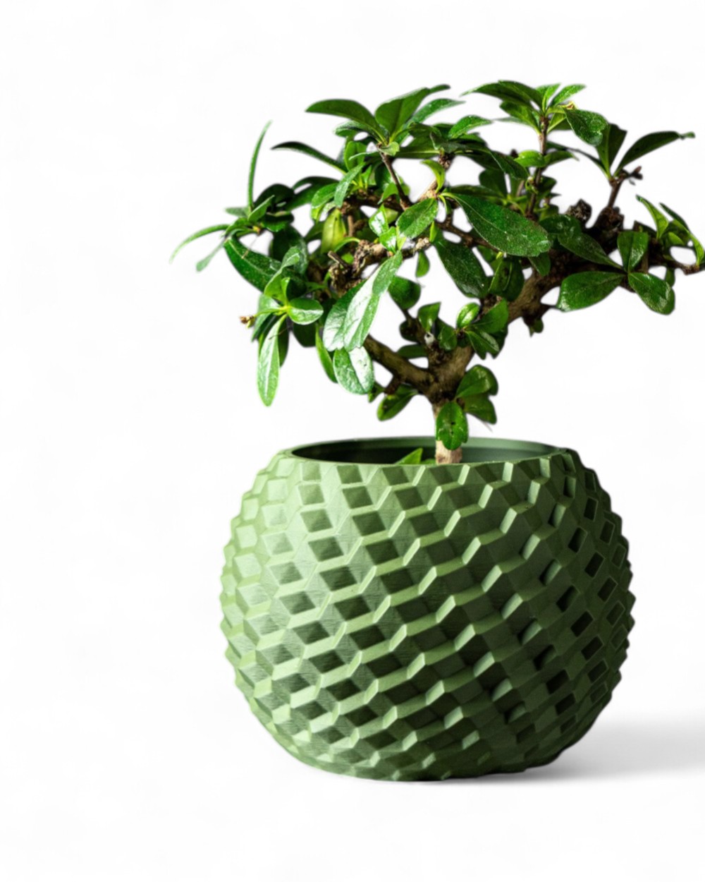 Cobble Pot