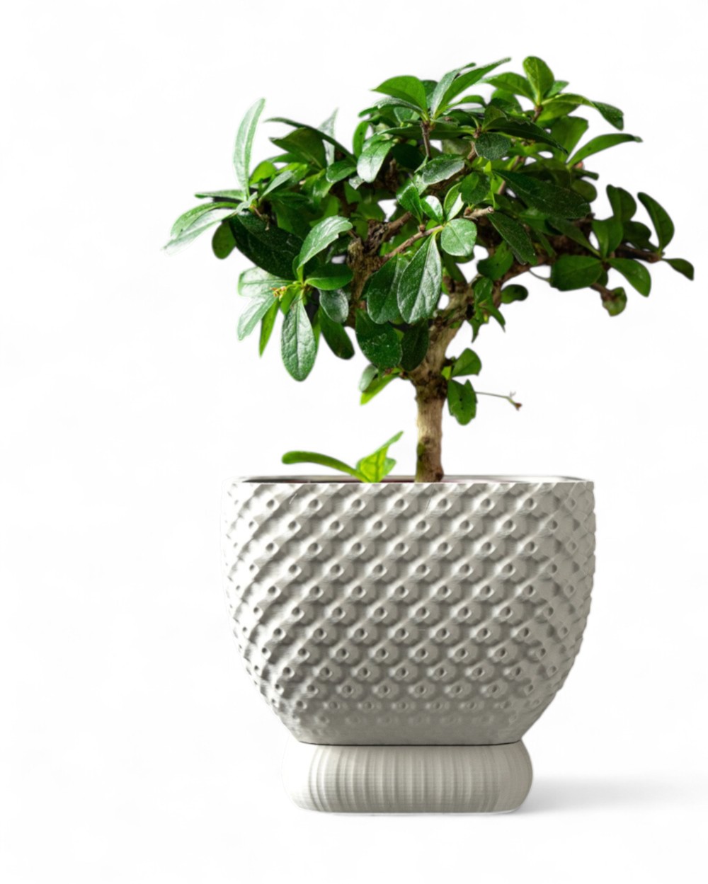 Connect Pot