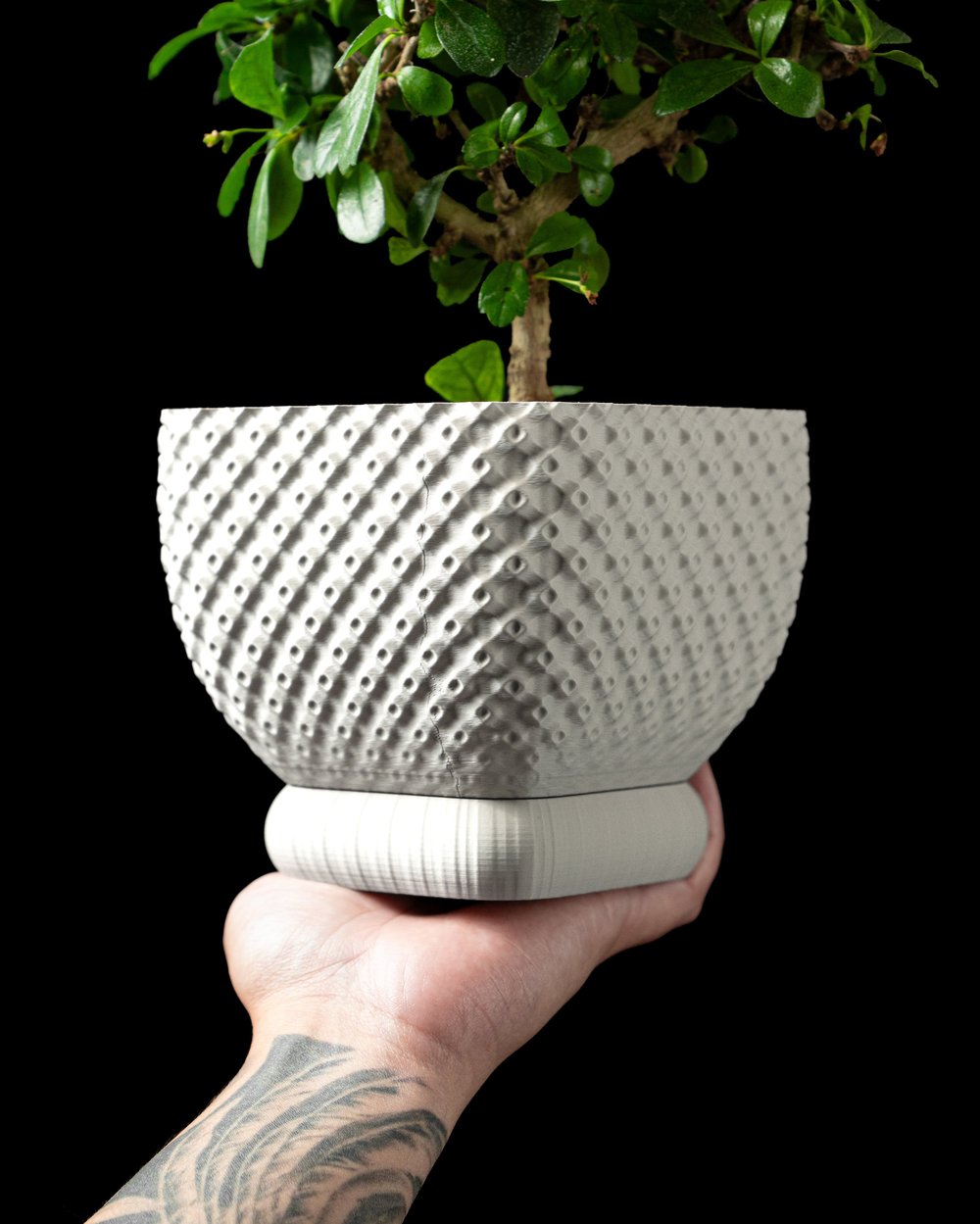 Connect Pot - 1