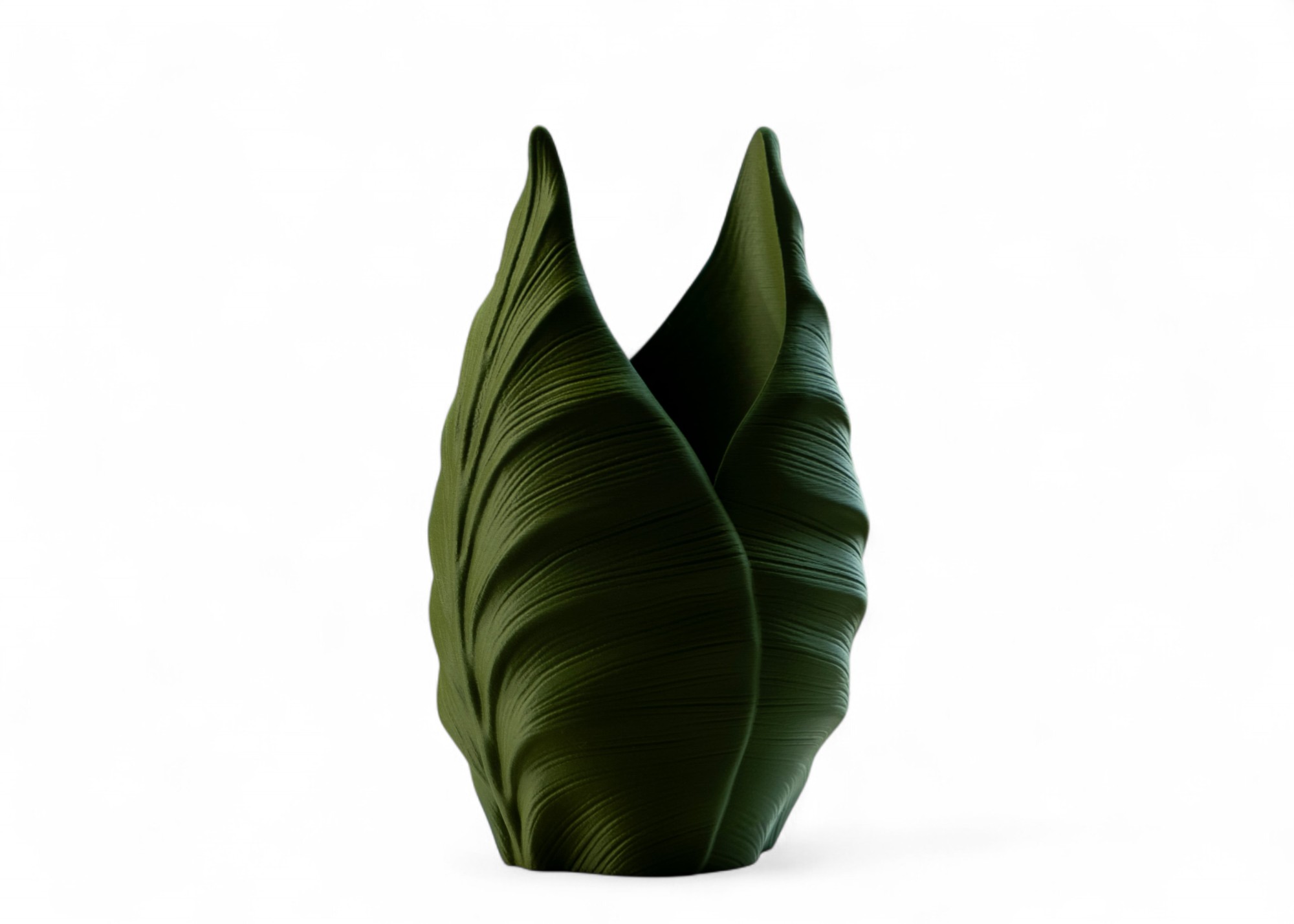 Botanica Nature 