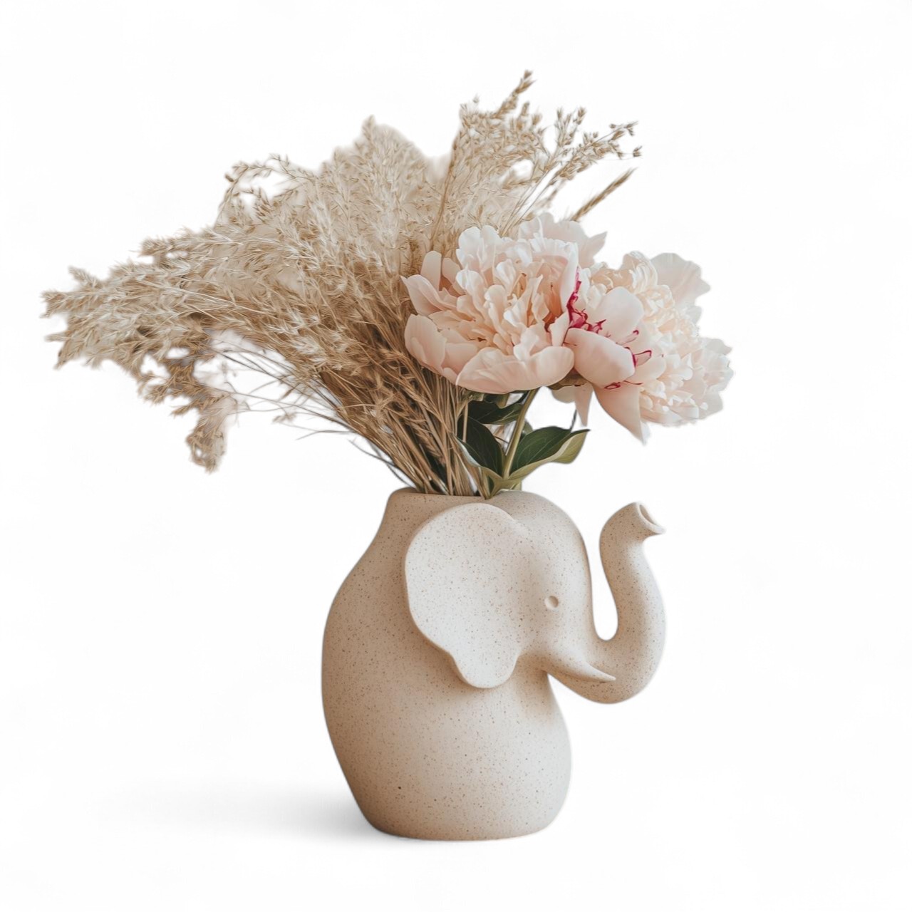Elephant Blossom 