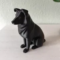 Australian Shepherd - Küçük görsel 2