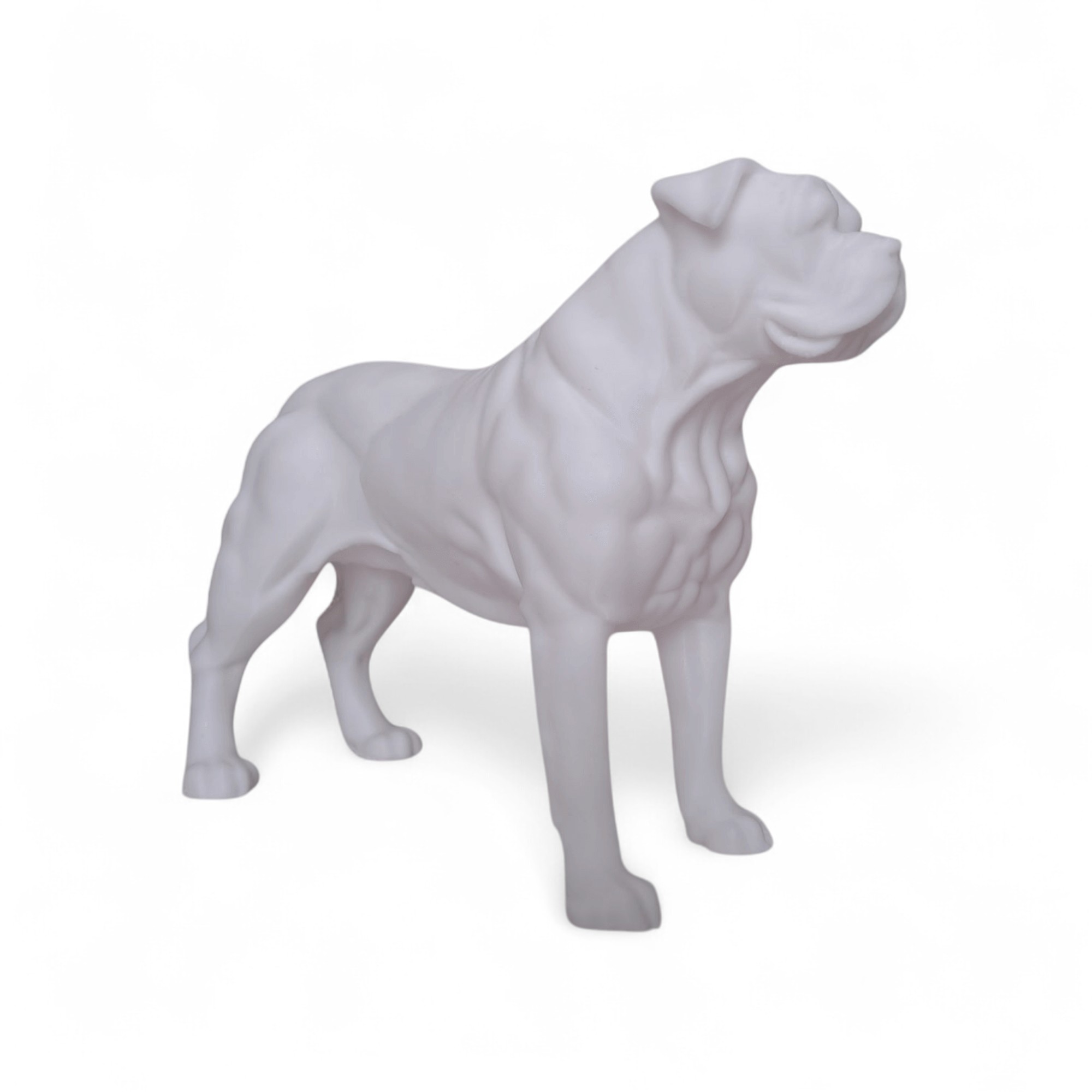 American Bulldog 