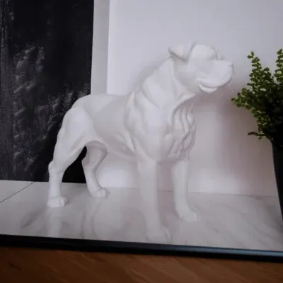 American Bulldog  - 1