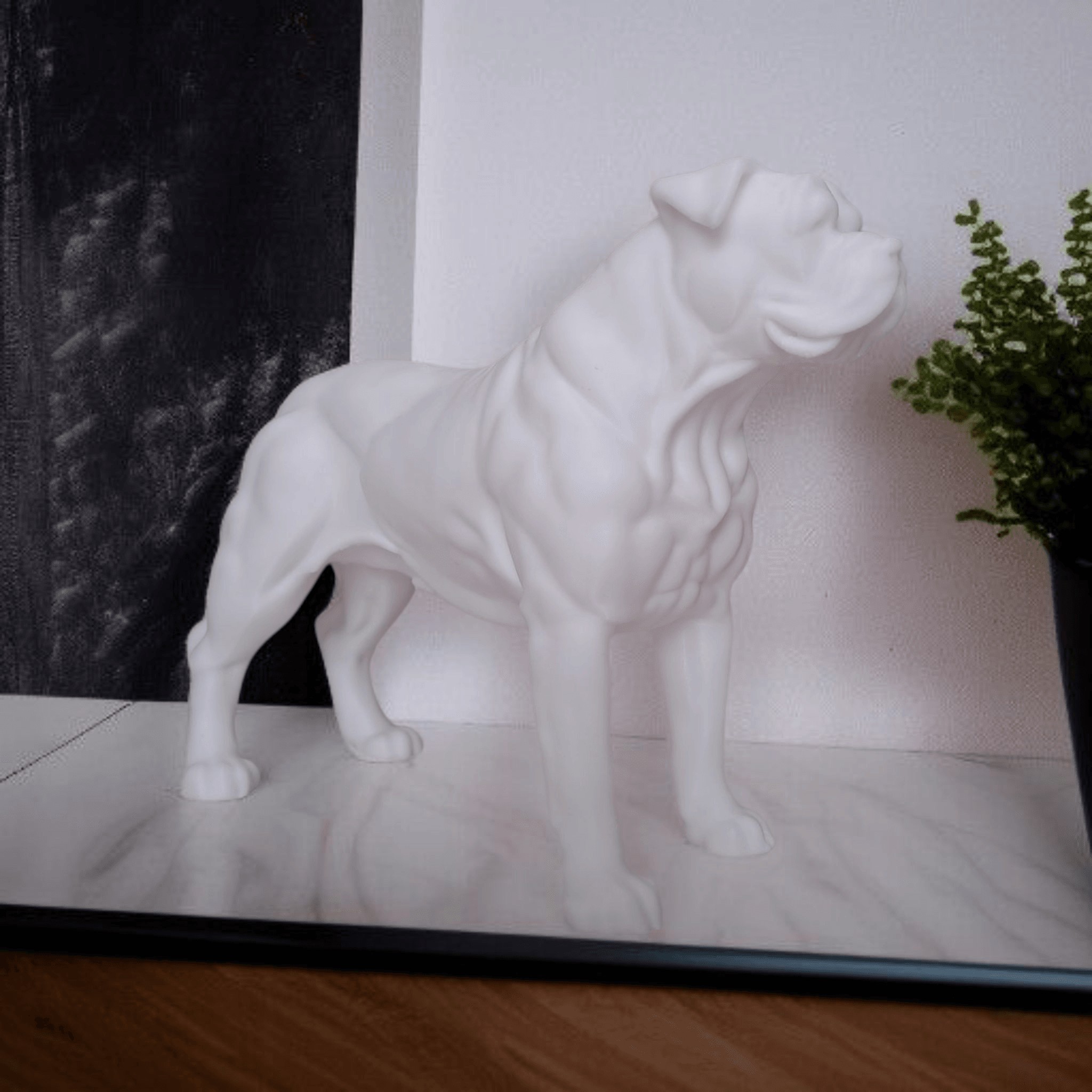 American Bulldog  - 1