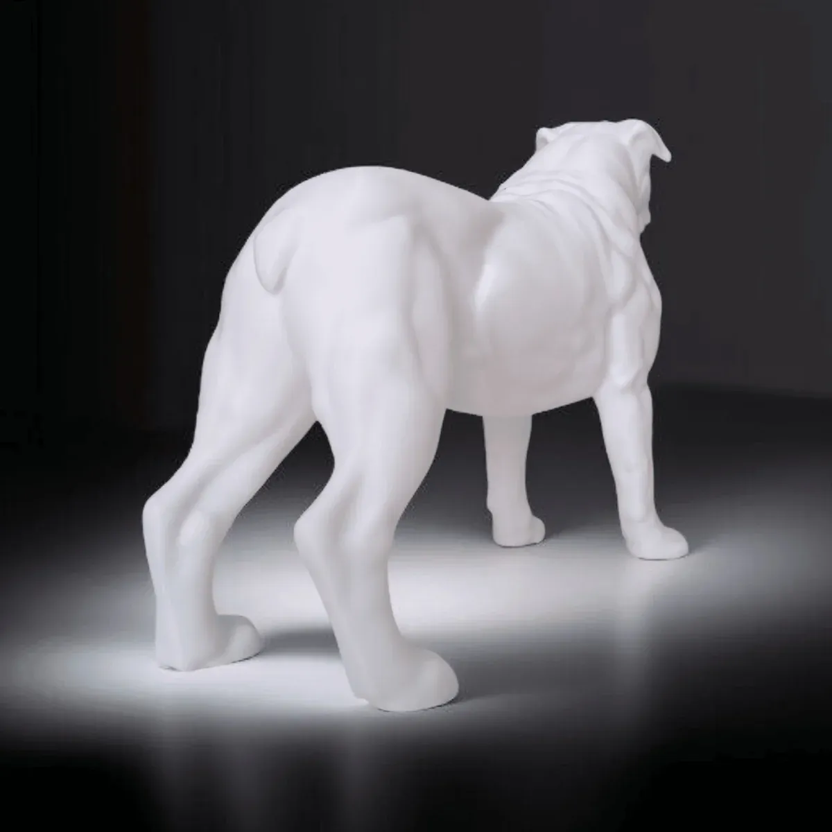 American Bulldog - 2