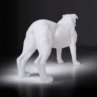 American Bulldog  - Küçük görsel 3