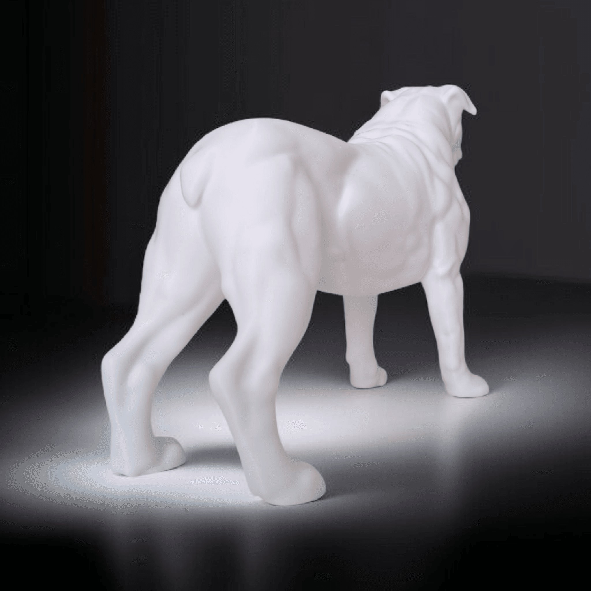 American Bulldog - 2