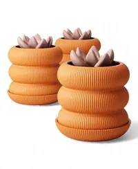 Ceylin - Küçük görsel 2