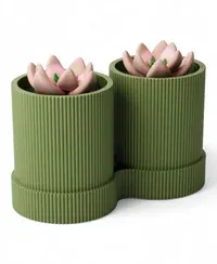 Duo Oryne - Küçük görsel 1