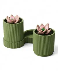 Duo Oryne - Küçük görsel 2