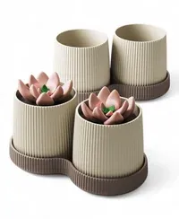 Duo Oryne - Küçük görsel 4