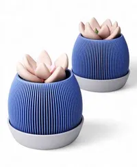 Velar - Küçük görsel 1