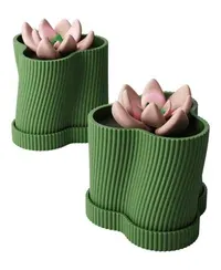 Ivara - Küçük görsel 1