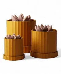 Olyra - Küçük görsel 1