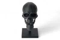 Black Skull Sculpture - Küçük görsel 1