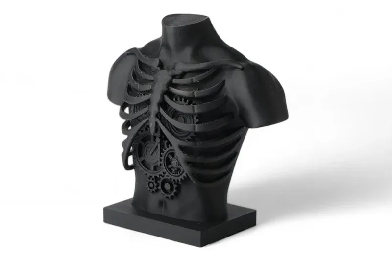 Steampunk Ribcage Bust